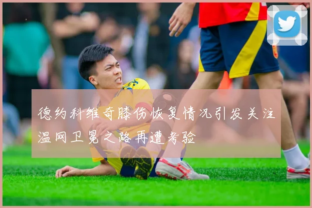 德约科维奇膝伤恢复情况引发关注温网卫冕之路再遭考验